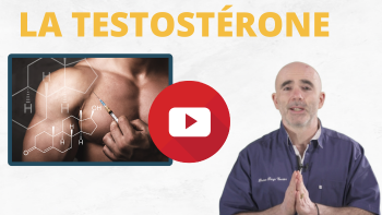 La testostérone