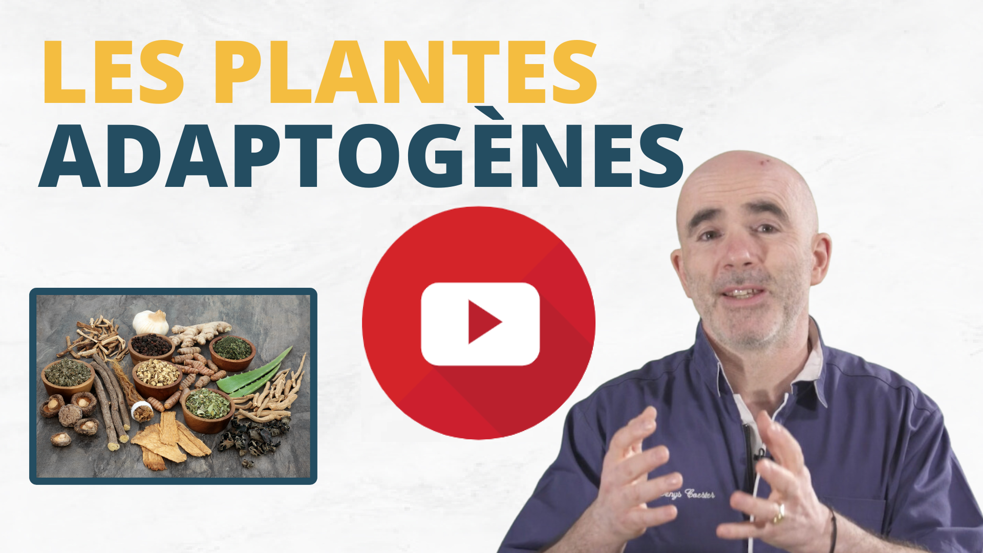 Les plantes adaptogènes